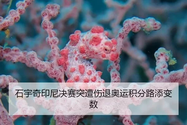 石宇奇印尼决赛突遭伤退奥运积分路添变数